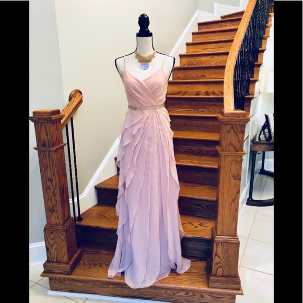 Blush Adrianna Papell Gown